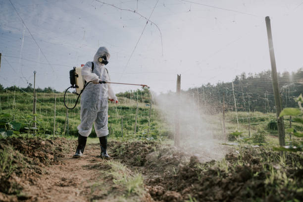 Best Best Pest Control Companies  in Quarryville, PA