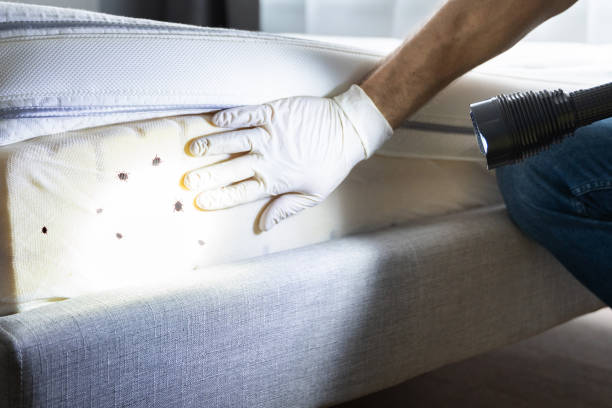 Best Emergency Pest Control  in Quarryville, PA