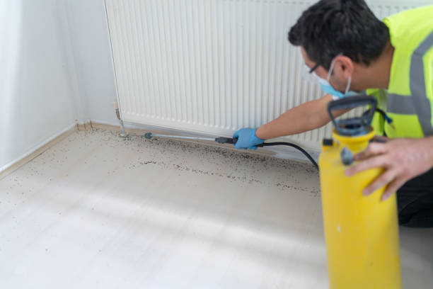 Trusted Quarryville, PA Pest Control Experts
