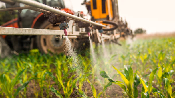 Best Pest Control for Businesses  in Quarryville, PA